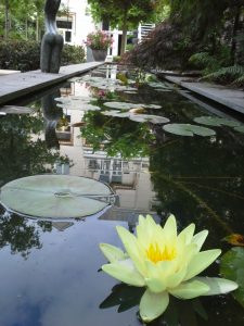 Maandelijks tuin- en vijveronderhoud uitvoeren in een stadstuin te Den Haag.